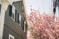 LCP_BlackRockBeachHouse_125