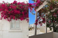 IMG_2260 2 IMG_2260 2