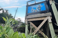 The Ocean Bay Park Residence