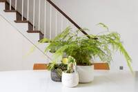 The Gladstone Street Residence