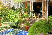 Untitled (1000 x 700 px)   2025 06 11T134925