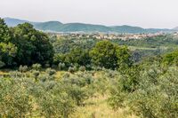 The Torricella Residence