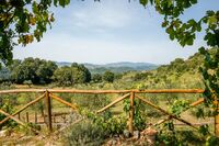 The Torricella Residence