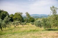 The Torricella Residence