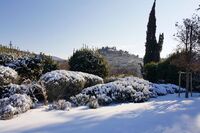 The Colombaio Vigne Residence