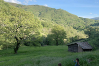 Screenshot+2021 08 28+at+09