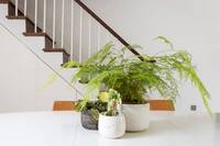 The Gladstone Street Residence