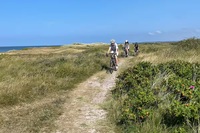 The Skansehage Residence