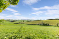 The Hillsborough Residence