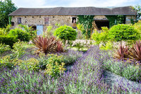 The Saint Martins Farm