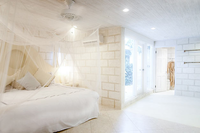 The Bon Vivant Villa