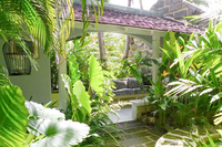 The Bon Vivant Villa