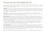 South Africa Safari itinerary (7)
