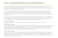South Africa Safari itinerary (9)