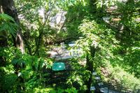 JeffersonGarden02