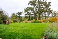 DryCreekGarden02