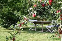 KilmoreQuayOutdoorDining02