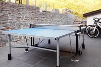 MadonnaPellegrinaPingPong01 MadonnaPellegrinaPingPong01