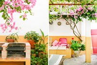 The Vejer Residence