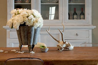 MandolaKitchen02 MandolaKitchen02