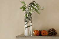 MANDOLALivingroom 1 MANDOLALivingroom 1