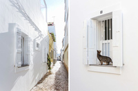 CasaOpalaExterior 1 CasaOpalaExterior 1