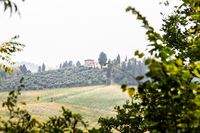 OrtiminoEnvironment 02