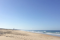 CarvalhaBeachEnvironment 03 CarvalhaBeachEnvironment 03