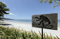 TheVillaWanoraBeach