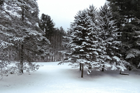WillowbrookSnow02