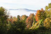 WillowbrookLaneAutumn