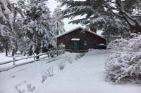 WillbrookWinter 4