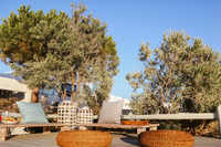 VillaAstraOutdoor02