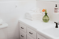 TheFigHouseBathroom TheFigHouseBathroom
