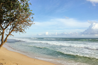 WoolamaiBeach